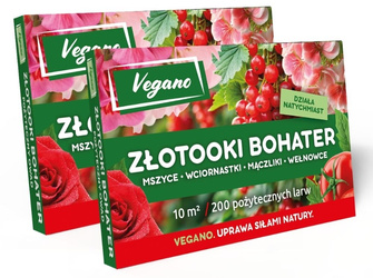 Złotooki bohater Vegano – 400 larw na mszyce, wciornastki, mączliki i wełnowce – 20 m² ochrony