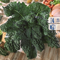 Jarmuż 'Black Magic' F1 – Toskański – Kiepenkerl