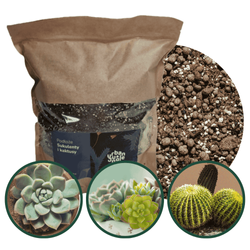 Podłoże do sukulentów i kaktusów -  bigos 5 L Urban Jungle