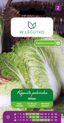 Kapusta Pekińska 'Hilton' – 0,5 g Legutko