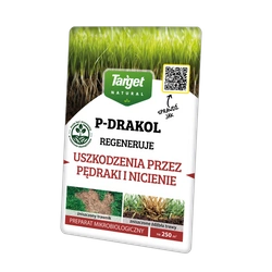 P-Drakol regeneruje trawnik po pędrakach – bakterie do trawnika – 20 g Target