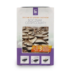 Boczniak Ostrygowaty – Zestaw Do Uprawy Grzybów – 3 l Exotic Grow Planto