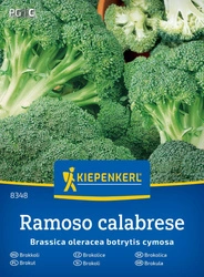Brokuł 'Calabrese natalino' – Tradycyjny – Kiepenkerl
