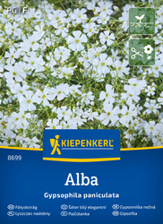 Gipsówka biała – Łyszczec – Kiepenkerl