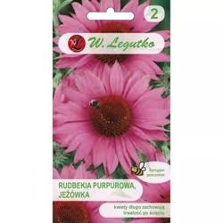Jeżówka Purpurowa – Legutko