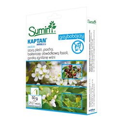 Kaptan Zawiesinowy 50 WP – 50 g Sumin