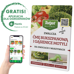 Lepinox Plus – Zwalcza Ćmę Bukszpanową I Gąsienice Motyli – 30 g