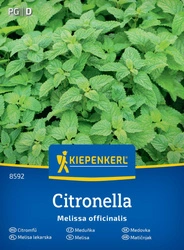 Melisa Cytrynowa – Wieloletnia – Kiepenkerl