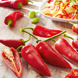 Papryka Papperoni 'Amboy' F1 – Kiepenkerl