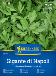 Pietruszka naciowa 'Gigante d'Italia' – Kiepenkerl