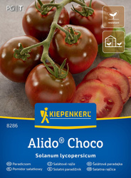 Pomidor Sałatkowy 'Sacher' F1 – Ciemny – Kiepenkerl