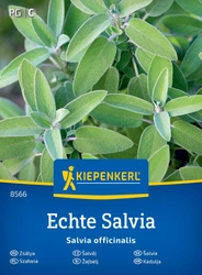 Szałwia – Bardzo Aromatyczna – Kiepenkerl