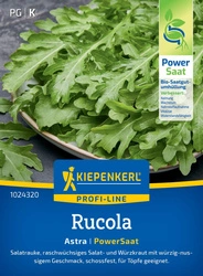 Rukola Astra, nasiona otoczkowane Kiepenkerl