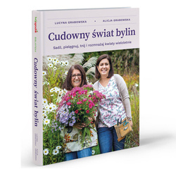 Książka Cudowny Świat Bylin – Lucyna i Alicja Grabowska