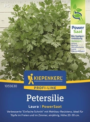 Pietruszka 'Laura' - Nasiona Otoczkowane – Kiepenkerl