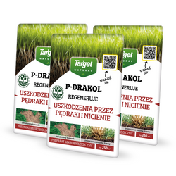 P-Drakol regeneruje trawnik po pędrakach – bakterie do trawnika – 3 x 20 g Target