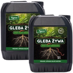 Gleba Żywa (efekt pracy dżdżownic) wermikompost w płynie do warzyw, owoców, trawnika i roślin ozdobnych – 10 l Vegano