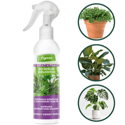 Regenerator do roślin zielonych doniczkowych – Vegano 300 ml