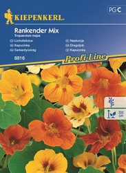 Nasturcja 'Rankender' - Mix Nasion - Kiepenkerl