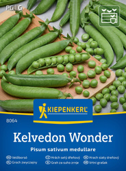 Groch siewny łuskowy Kelvedon Wonder Kiepenkerl