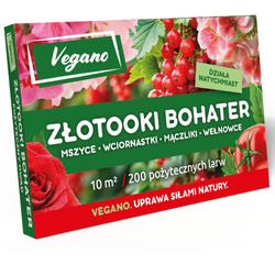 Złotooki bohater Vegano – 200 larw na mszyce, wciornastki, mączliki i wełnowce – 10 m² ochrony