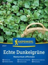 Rukiew wodna Echte Dunkelgrüne Kiepenkerl