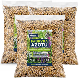 Mieszanka poplonowa Vegano Fabryka Azotu - 3 kg - do 210 m²