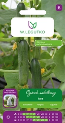 Ogórek Szklarniowy Iwa 1 g Legutko