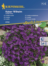 Lobelia przylądkowa 'Kaiser Wilhelm' - Nasiona - Kiepenkerl