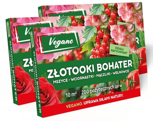 Złotooki bohater Vegano – 600 larw na mszyce, wciornastki, mączliki i wełnowce – 30 m² ochrony