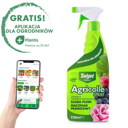 Agricolle Spray – Zapobiega Chorobom Grzybowym Roślin – 750 ml Target