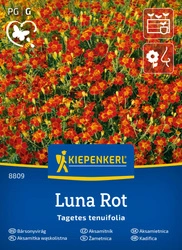 Aksamitka wąskolistna Luna Rot Kiepenkerl