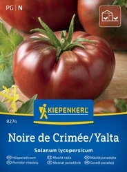 Pomidor mięsisty Noire de Crimée/Yalta Kiepenkerl