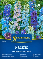 Ostróżka Ogrodowa Pacific - Kiepenkerl
