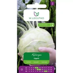 Kalarepa Gigant – 2 g Legutko