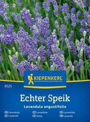 Lawenda Echter Speik Kiepenkerl