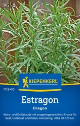 Estragon Dragon Kiepenkerl