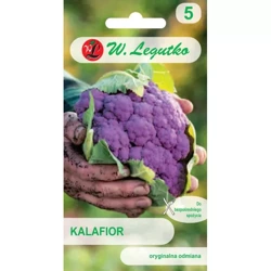 Kalafior ‘Di Sicilia Violetto’ – 1 g Legutko