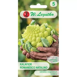 Kalafior ‘Romanesco Natalino’ – 1 g Legutko