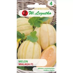 Melon ‘Malaga’ F1 – 0,5 g Legutko