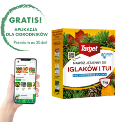 Nawóz Do Iglaków i Tui – Jesienny – 1 kg Target