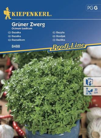 Bazylia 'Grüner Zwerg' – Kiepenkerl