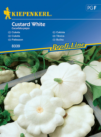 Cukinia Patison 'Custard White' – Kiepenkerl