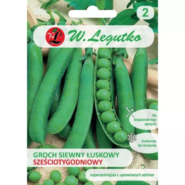 Groch Łuskowy Sześciotygodniowy – 40 g Legutko 