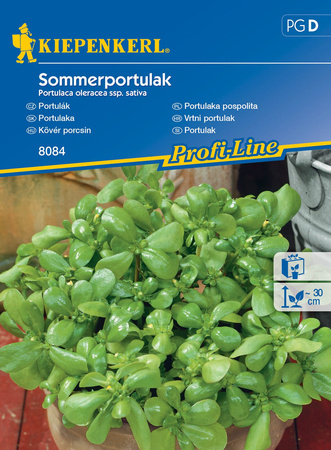 Portulaka Pospolita 'Sommerportulak' – Kiepenkerl