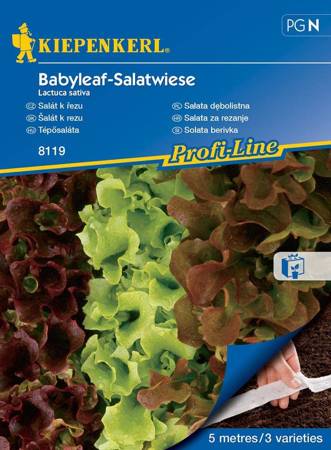 Sałata Dębolistna 'Babyleaf-Salatwiese' – Kiepenkerl